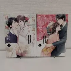 【裁断済み】お気の毒さま、今日から君は俺の妻 4、5　2冊セット　まとめ売り