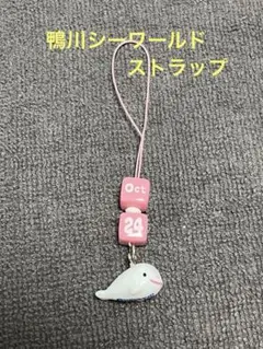 鴨川シーワールド　キーホルダーのサムネイル