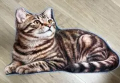 猫柄 フロアマット リアルプリント 滑り止め加工 猫雑貨　　キジトラ