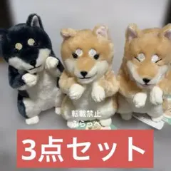 柴のふとし  STコンプリート 柴のふとし STコンプリート - メルカリ