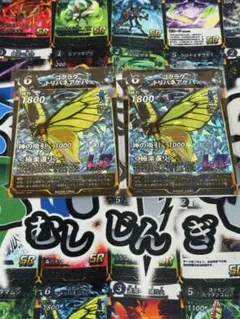 ユウレイヒレアシナナフシ ゴクラクトリバネアゲハ セット 蟲神器 第6