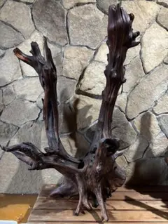 Item thumbnail for item 93a3c501-fae4-4583-90af-5e8df6e7b676