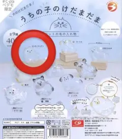 【明日発送可能】うちの子のけだまだま　ポメラニアン