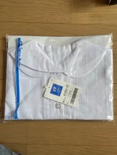 Item thumbnail for item 2ad62931-18e7-4bbb-857b-94a2364e7136