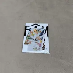 timelesz FAM ステッカー 大阪 篠塚