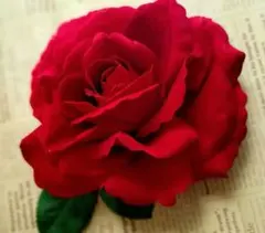 Item thumbnail for item 209a905f-be44-4482-bf01-e47bced1c32a