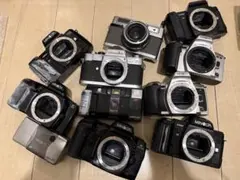 Item thumbnail for item ec701c26-ac08-46b1-a383-7ecdeef1c6bf