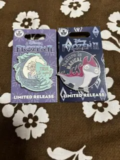 アナ雪 アナと雪の女王 ピンバッジ ピン サラマンダー エルサ DLP アナ雪2