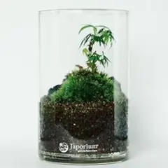 2026年最新】Magma Glass マグマグラスの人気アイテム - メルカリ