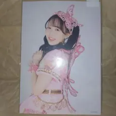 FRUITS ZIPPER松本かれん 写真集 アクリルパネル - メルカリ