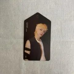 SEVENTEEN FML デラックスver ペーパータグ ディノ