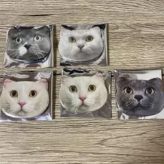 Item thumbnail for item c9262ef1-0d2c-43d3-a839-46d05f5510b6