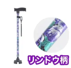 Item thumbnail for item 730c7ecc-8981-4958-850f-d439f03f0641