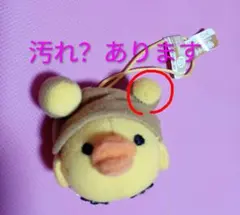 ゆう様　リクエスト商品　キイロイトリ