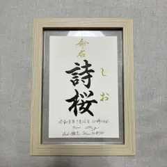 Item thumbnail for item ce7e2b1a-7dc8-4d10-b199-33ae07531491