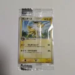 2026年最新】106/PCG-P サンダースの人気アイテム - メルカリ