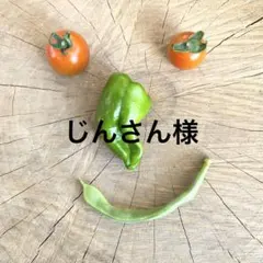 じんさん様 リクエスト 3点 まとめ商品