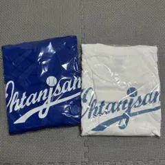 Item thumbnail for item b54fe642-c204-4c0a-99b4-329a2da40a3d