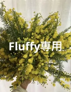 ミモザゴールデン生花 ドライフラワー 花材　スワッグ　リース　ハーバリウム