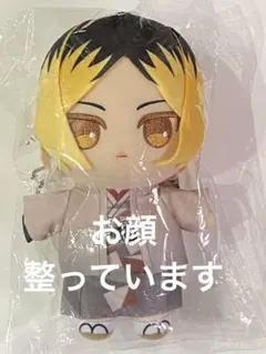 ⑨ハイキュー レッツゴーキョート ぬいぐるみ 孤爪研磨 JR東海 京都 東京