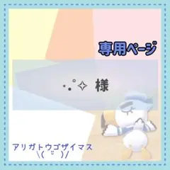 ⋆.˚✧様 リクエスト 4点 まとめ商品