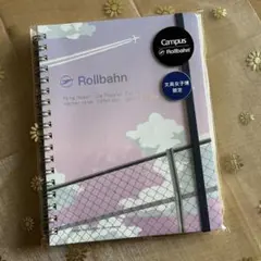 Item thumbnail for item 47e2c0c5-df89-4c69-a98e-6e0ab1af7a8f