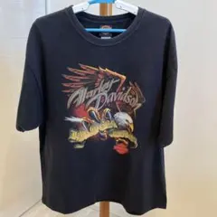 アダムスジャグラー ファットランク クロムハーツ ロングTシャツ
