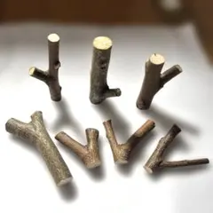 Item thumbnail for item 35e9f9e7-4001-4299-8cb4-f85dad151007