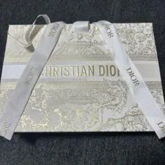CHRISTIAN DIOR ギフト袋 大きめ