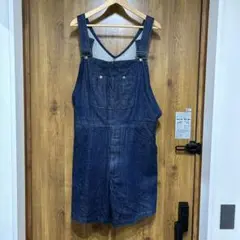 NEAT OVERALL SHORTS