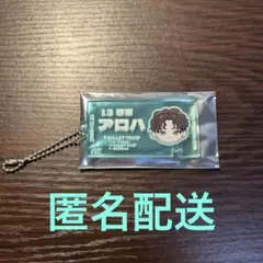 超特急 EVE アロハ チケットキーホルダー