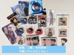 名探偵コナン　毛利蘭　江戸川コナン　工藤新一　毛利小五郎　20点越えセット✨