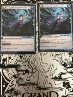Captivating Opulence 2枚セット