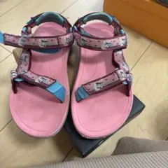 Item thumbnail for item d49a7d15-8dfe-4e85-9c17-a321e4a9bb6a