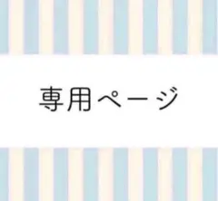 ミ様 購入専用