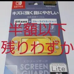 残り少 ガラス9H硬度&防水5層&新素材 スイッチライト用衝撃吸収&防汚フィルム