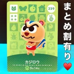 カジロウ コワイ系☆繋がり眉がカッコイイ！小さな怖い系リス君♡amiiboカード