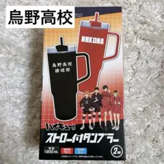 ハイキュー！！ ストロー付きタンブラー　烏野高校排球部 プライズ
