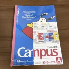 PEANUTS スヌーピー ノート A4 30ページ