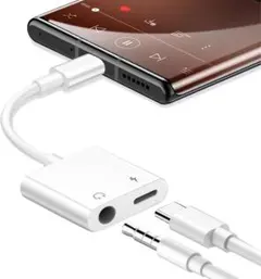 USB-C - 3.5mmイヤホンジャック 2in1変換アダプタ 265L200