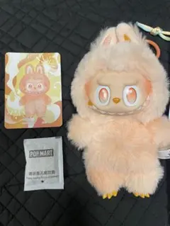 ラブブ (Happiness/オレンジ) BigintoEnergy 室内保管