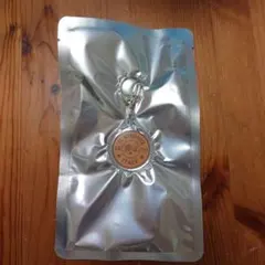 イルビゾンテ　非売品キーホルダー