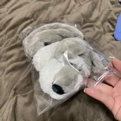 Item thumbnail for item 0373c9fb-704a-47b1-b6b8-bc43bdab0da7