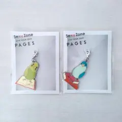 SexyZone PAGES 地域限定 チャーム キーホルダー