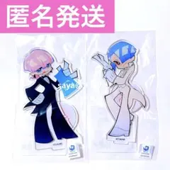 パンティストッキング