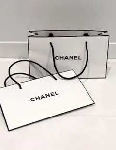CHANEL ショップ袋 ホワイト 2枚セット