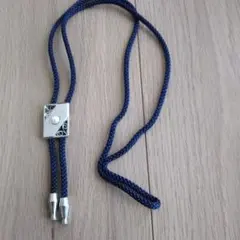 Item thumbnail for item 798d7e89-e8e9-4b03-a900-51248652cb31