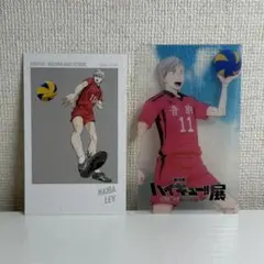 ハイキュー!!　灰羽リエーフ