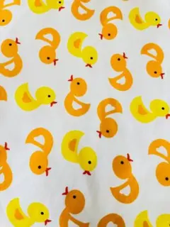 ニット生地　ひよこ　スムース　50センチ