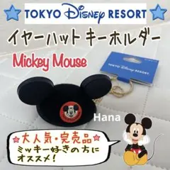 大人気・完売品！タグ付き ディズニーリゾート イヤーハット 被り物 キーホルダー